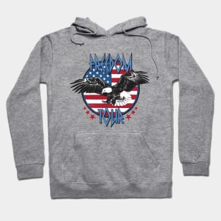 Retro 4th of July design Hoodie